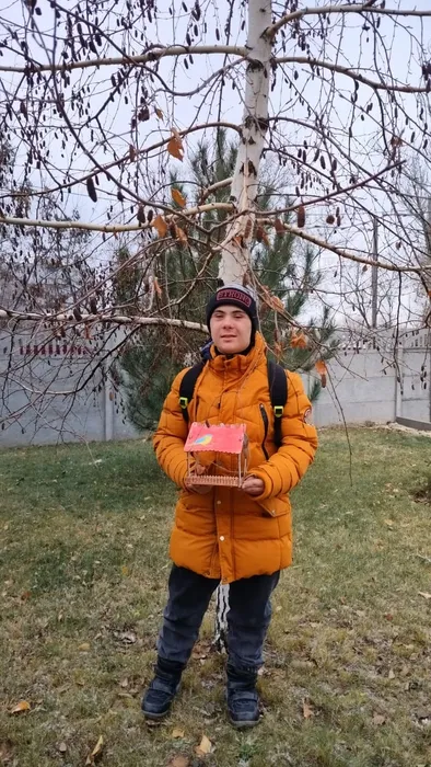 кормушка2